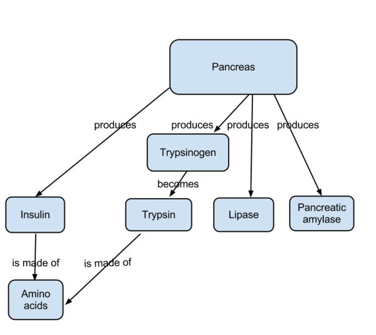How to Study for Biology Owlcation