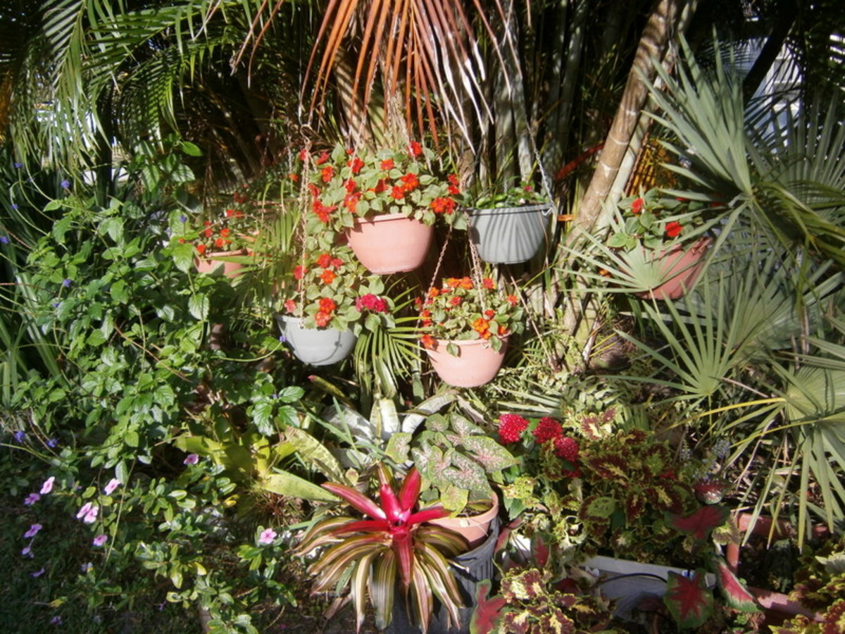 How To Make A Decorated Flower Pot From A Cat Litter Bucket; Instructions and Photos HubPages