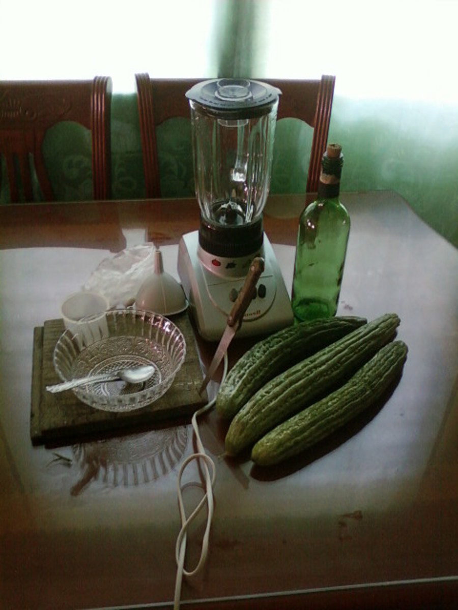 How to Make Bitter Gourd Wine Delishably