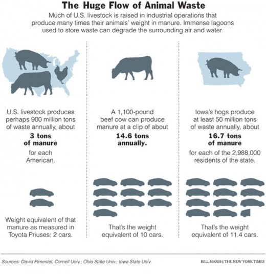 Food Safety Manure and How it Affects Our Global Health How We MUST