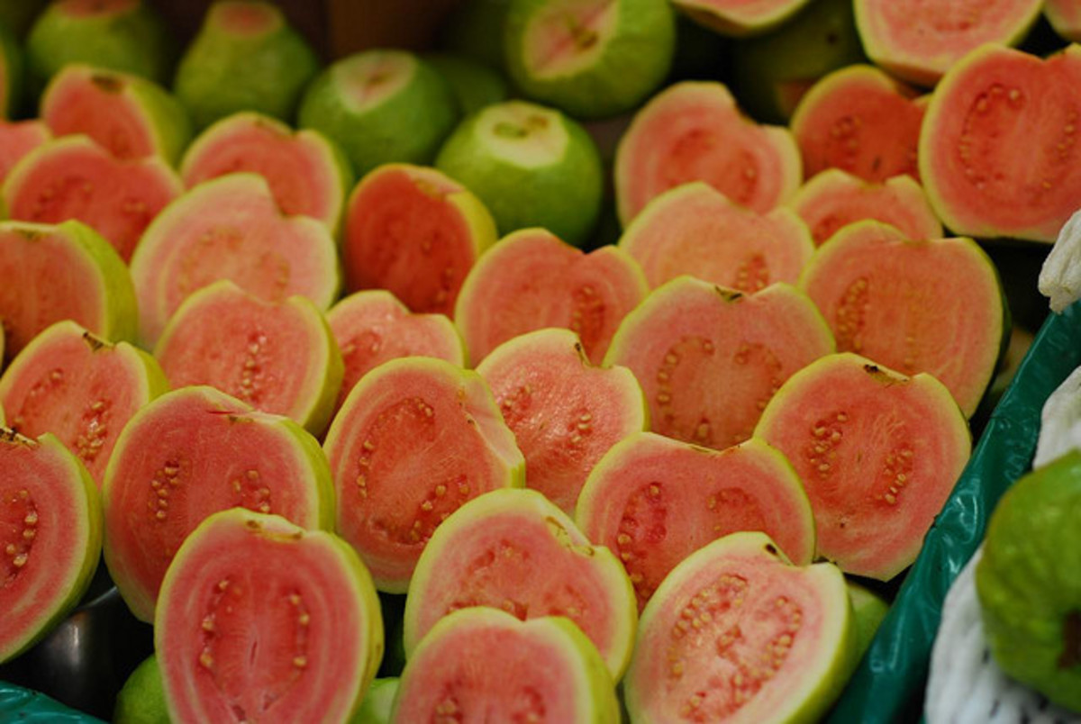 The Health Benefits of Guava Fruit HubPages
