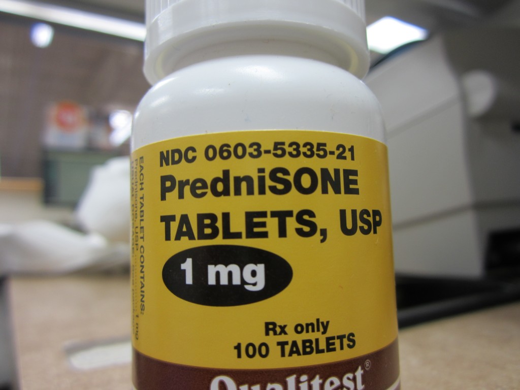 What Is Prednisone? HubPages