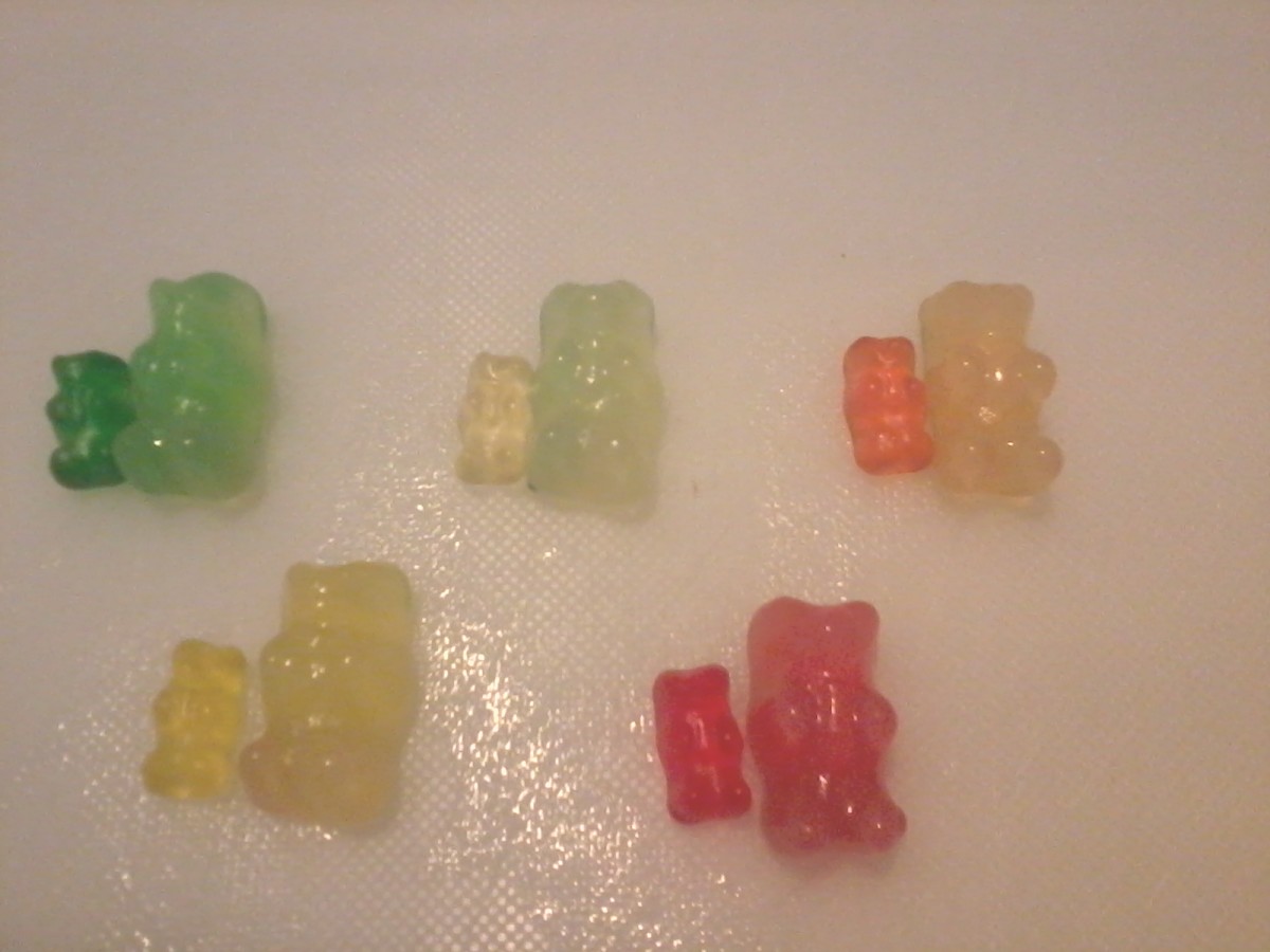 Science Project Grow a Gummy Bear HubPages