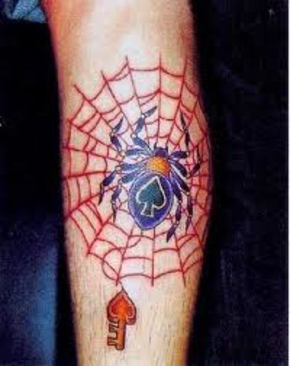 Spider Web Tattoos Meanings, Ideas, and Pictures TatRing