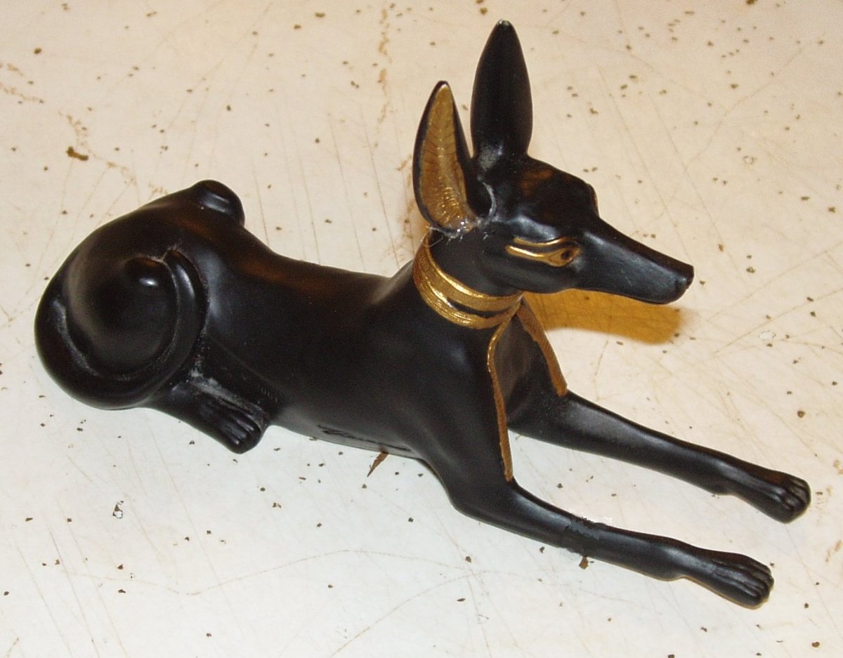 The Egyptian God of the Dead Anubis the Black Jackal Exemplore