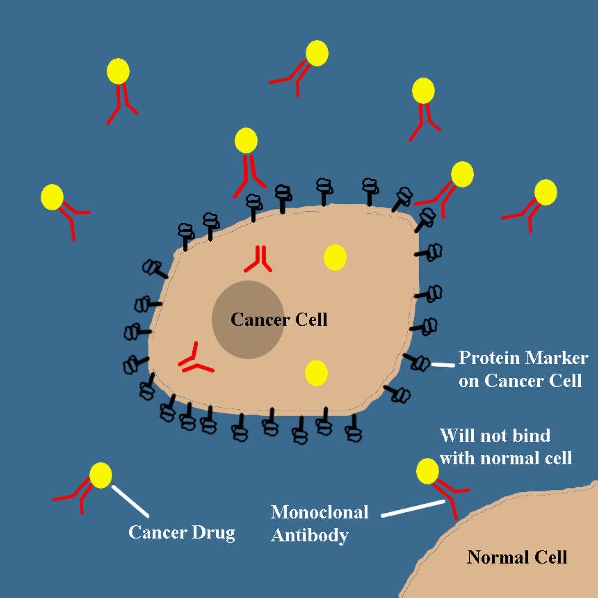 Cancer Treatment & Biotechnology HealDove