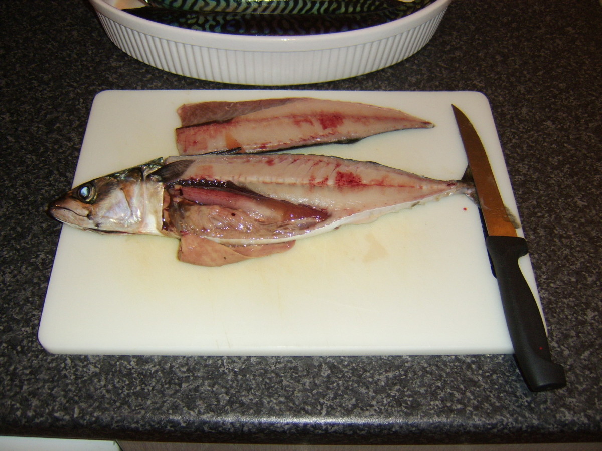 Quick and Easy Mackerel Recipes From Sea, to Shore, to Plate Delishably