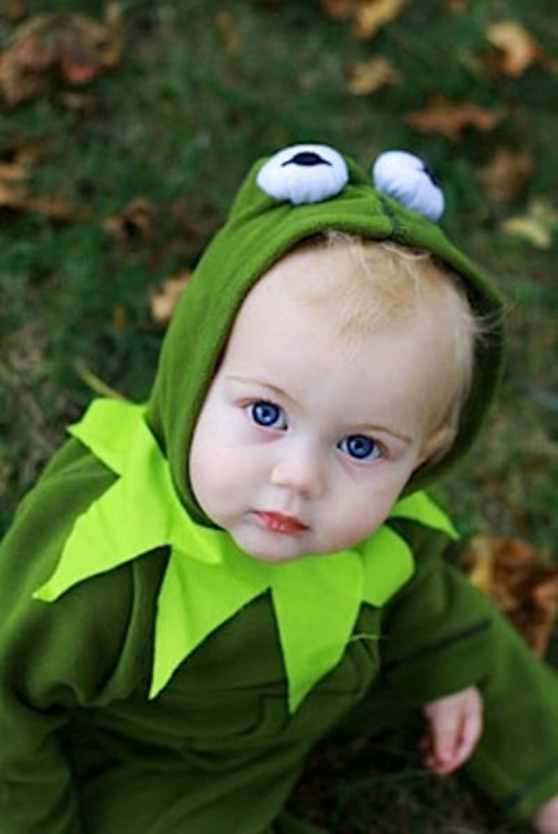 Kermit the Frog Costumes hubpages