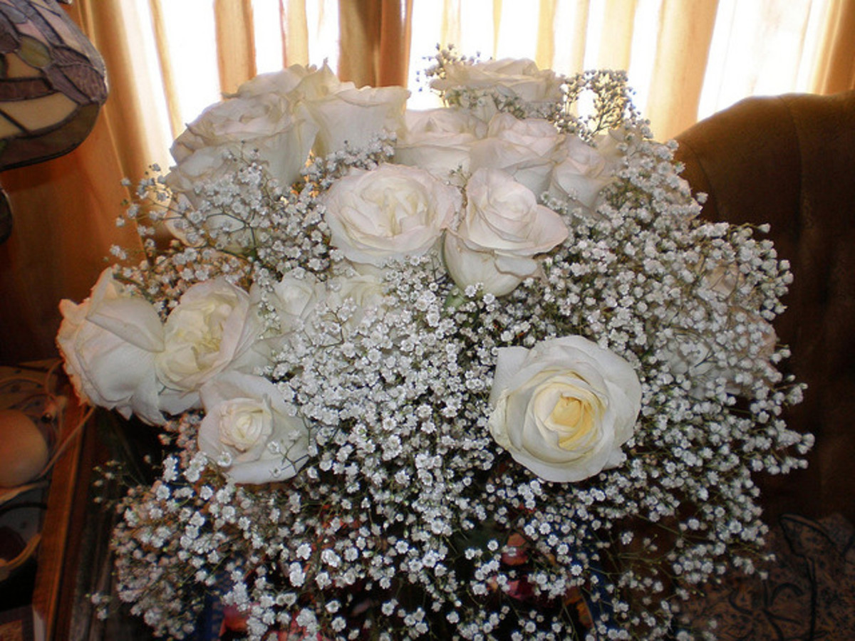 How To Keep Cut Flowers Fresh Last Longer And Homemade Recipe For Cut