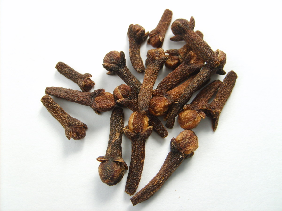 Health Benefits of the Spice With a Bite Clove and Clove Oil HubPages