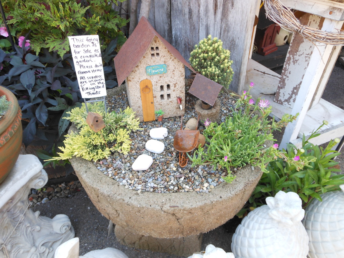 Miniature Fairy Gardens Ideas and Pictures Dengarden