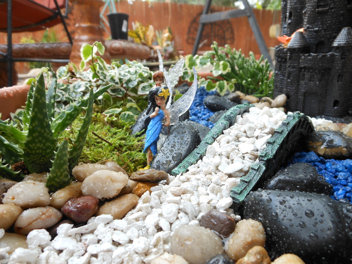 Miniature Fairy Gardens Ideas and Pictures Dengarden