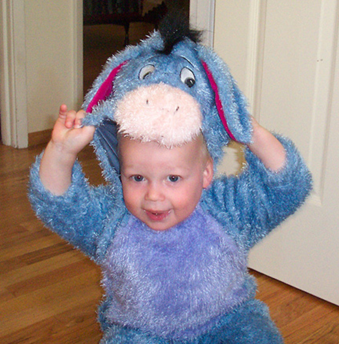 Eeyore Costume Ideas HubPages