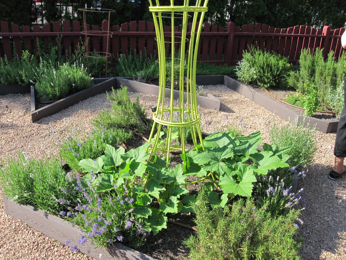7 Garden Design Ideas From the "Better Homes and Gardens" Test Garden