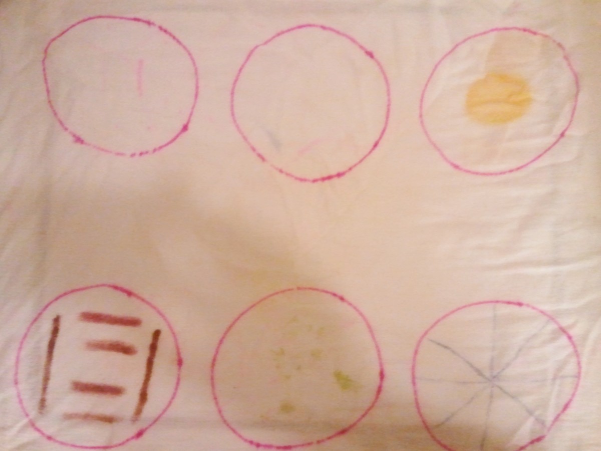 How Well Does Homemade Laundry Soap Really Work? Dengarden