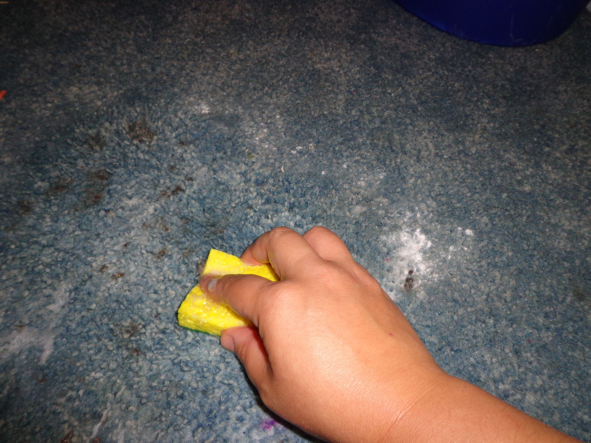 Homemade Carpet Stain Remover Dengarden
