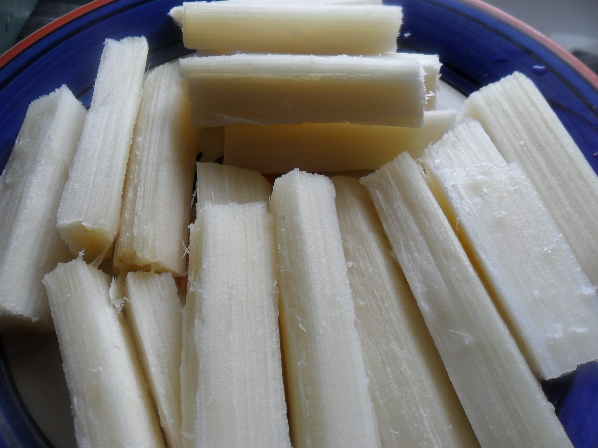 Sugarcane Cultivation And Sugar Cane Uses HubPages