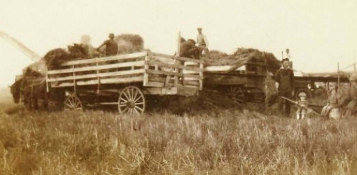 Old Pictures of Farming in North Dakota in the early 1900s HubPages