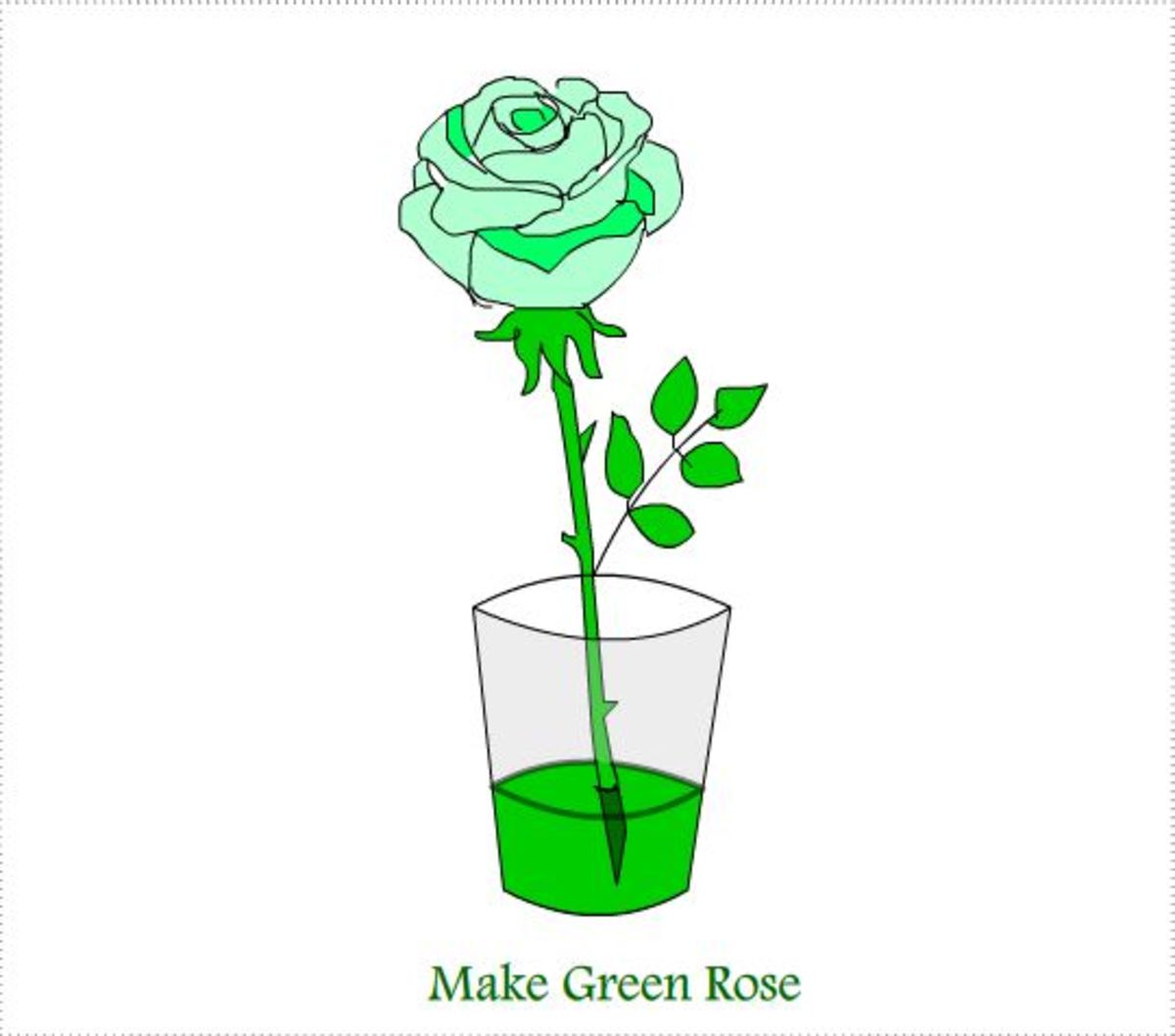 How to Make Green Roses A Simple Step by Step Guide HubPages