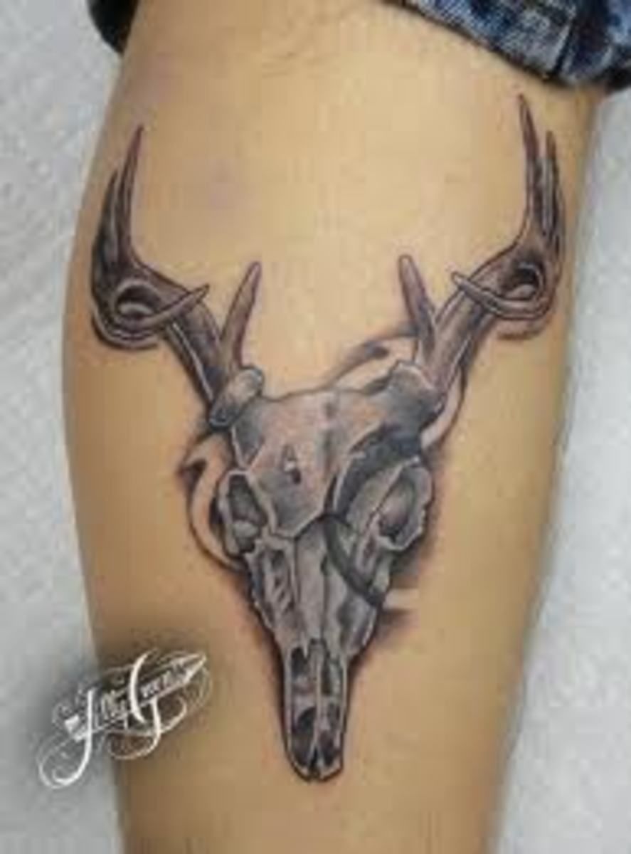 Deer Tattoos And MeaningsDeer Skull Tattoos And Meanings