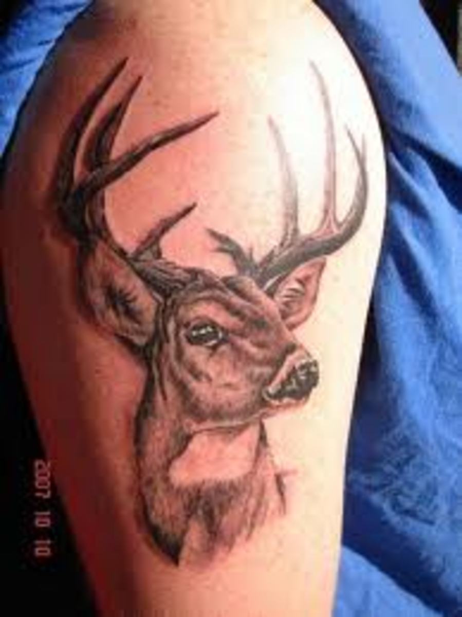 Deer Tattoos And MeaningsDeer Skull Tattoos And MeaningsDeer Tattoo