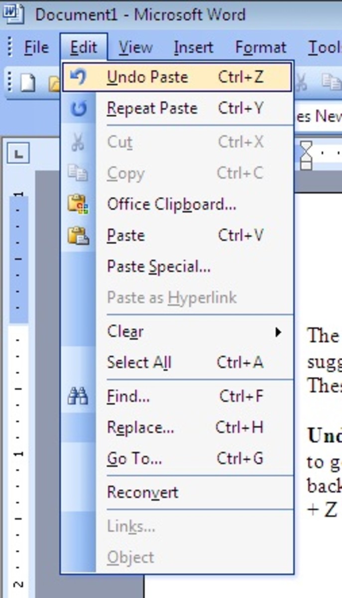 Using The Edit Menu in Microsoft Word 2003 TurboFuture