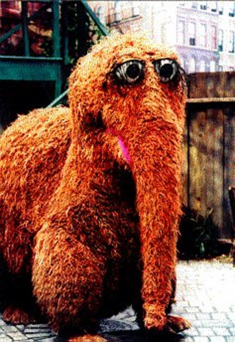 Ten Things You Didn't Know About Snuffleupagus ReelRundown