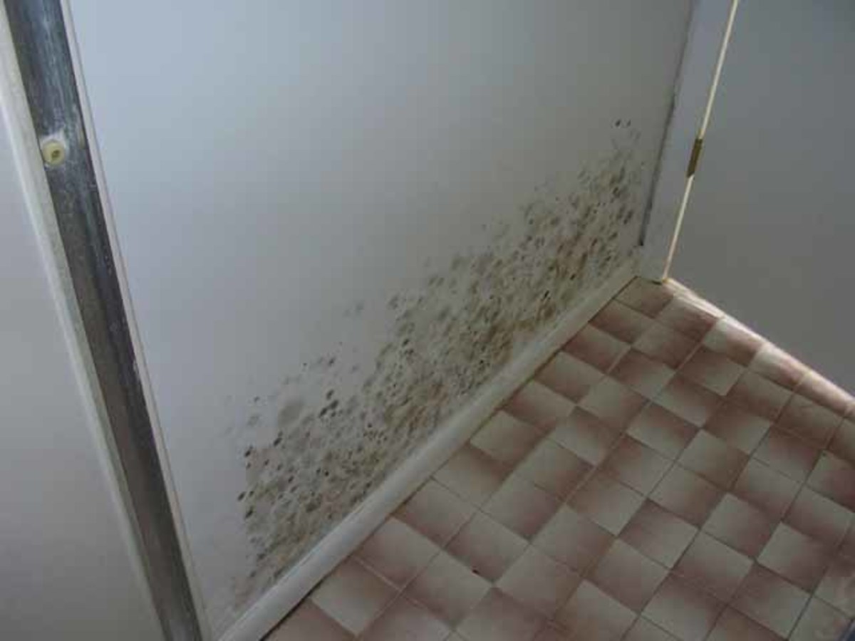 How To Get Rid Of Mold in the bathroom or in a hidden area. HubPages