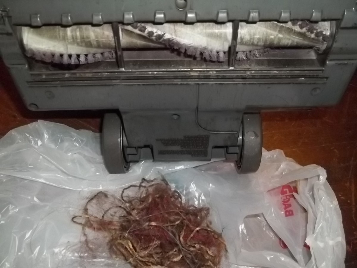 How to Clean the Shark Navigator Vacuum and Filters Dengarden