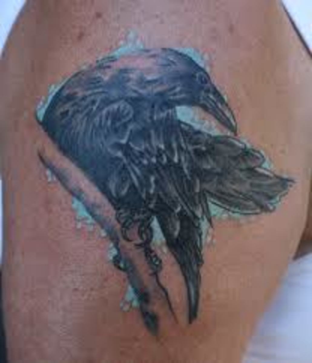 Raven Tattoo Meanings, Designs, and Ideas TatRing