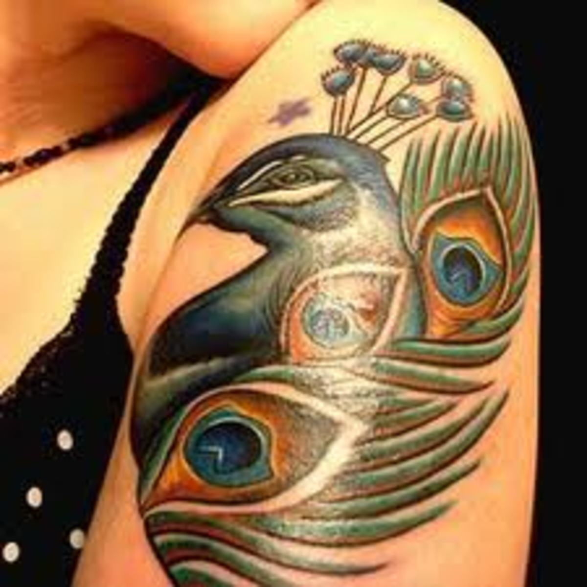 Peacock Tattoos And MeaningsPeacock Feather Tattoos And Meanings