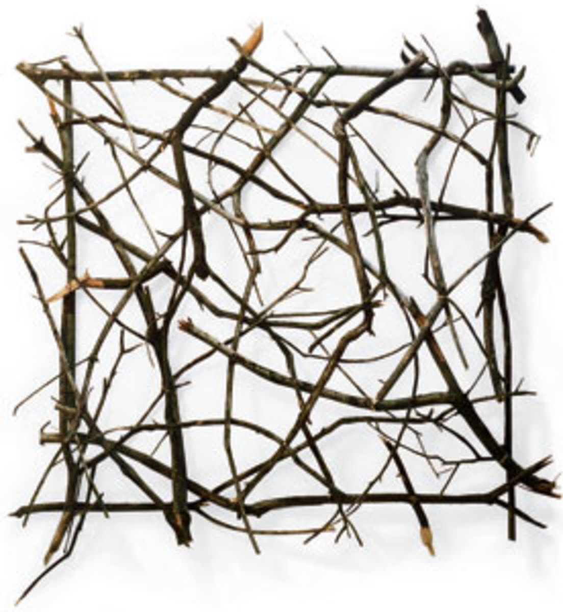 Arts and Design Twigs and Branches as Unique Source of Art HubPages