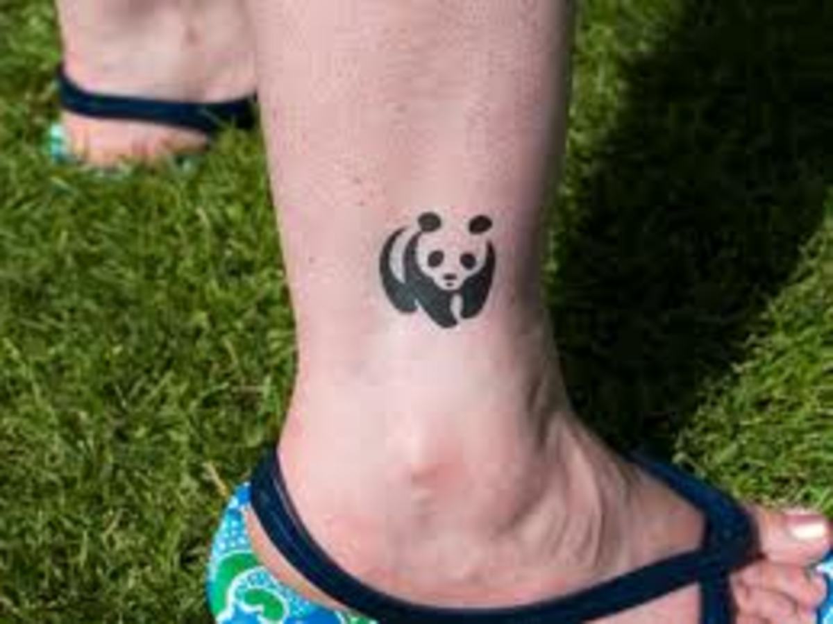 Panda Bear Tattoos Meanings, Designs, Pictures, and Ideas