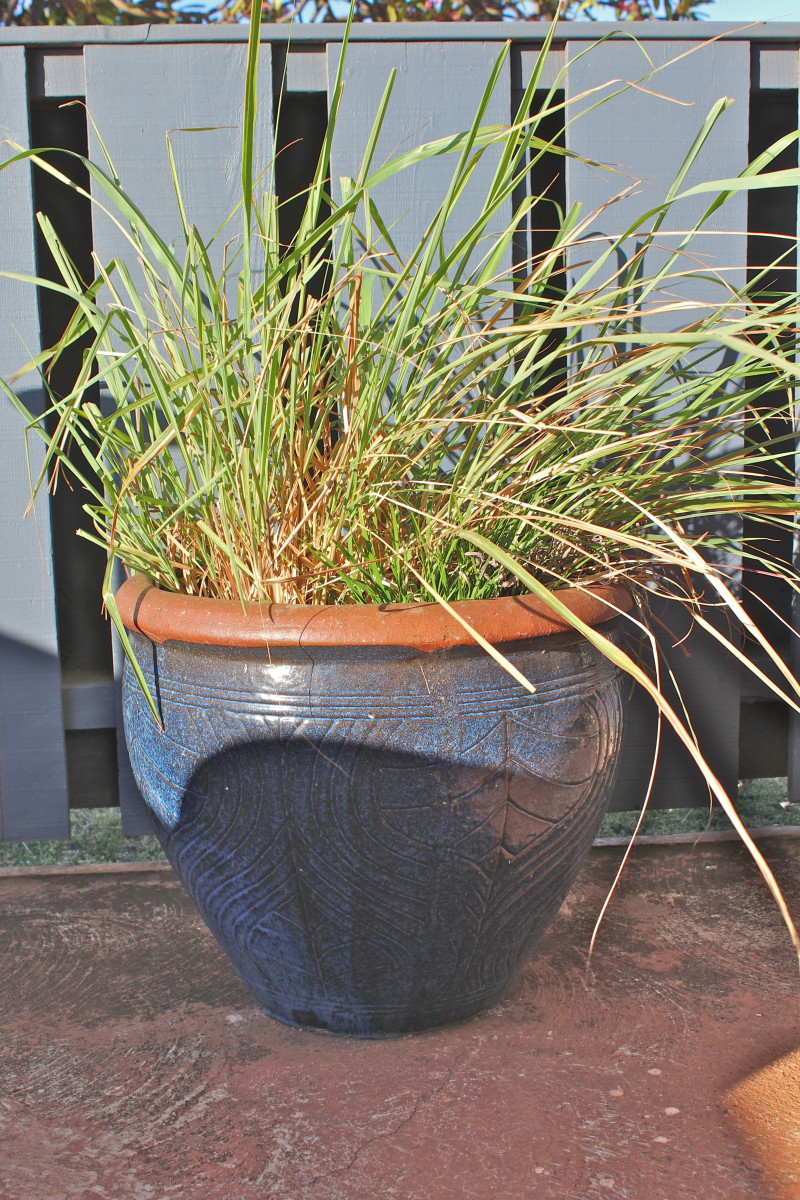 Loving My Lemongrass Top 10 Reasons