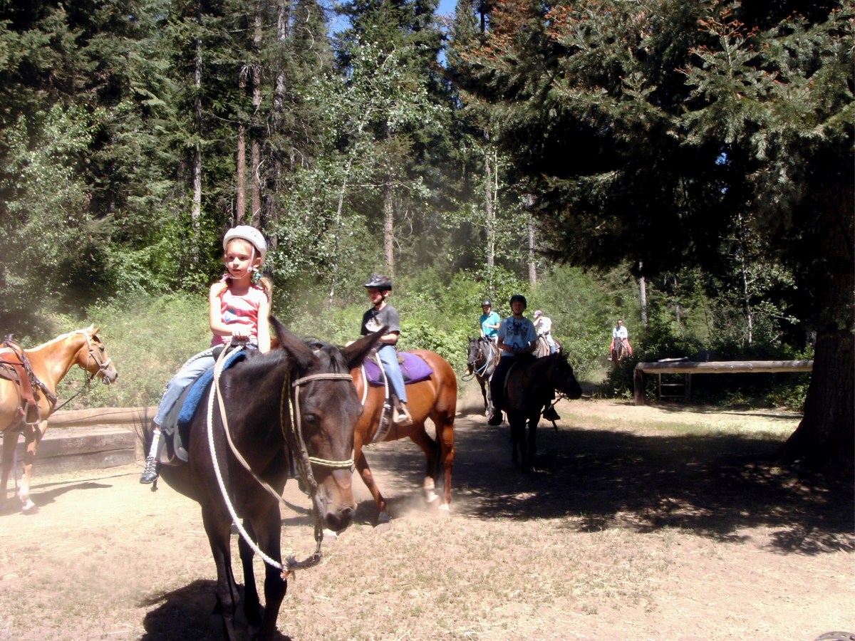 Things to Do in McCall, Idaho WanderWisdom