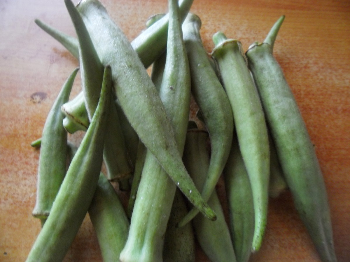 Jamaican Okra Recipe With Saltfish HubPages