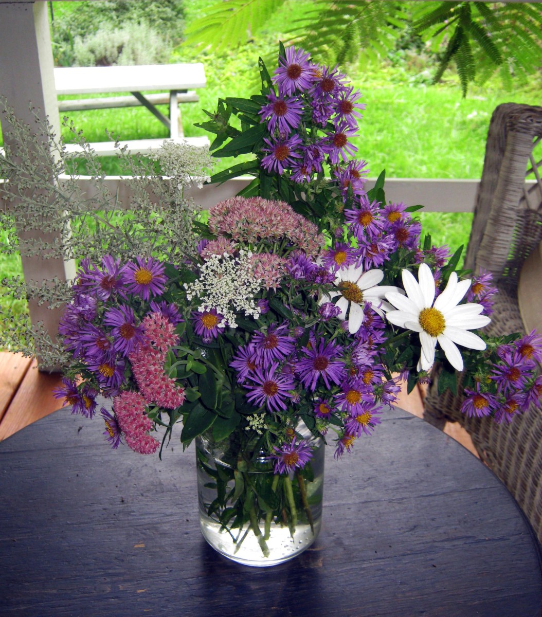 Fall Flowers Late Blooming Perennials and Shrubs hubpages