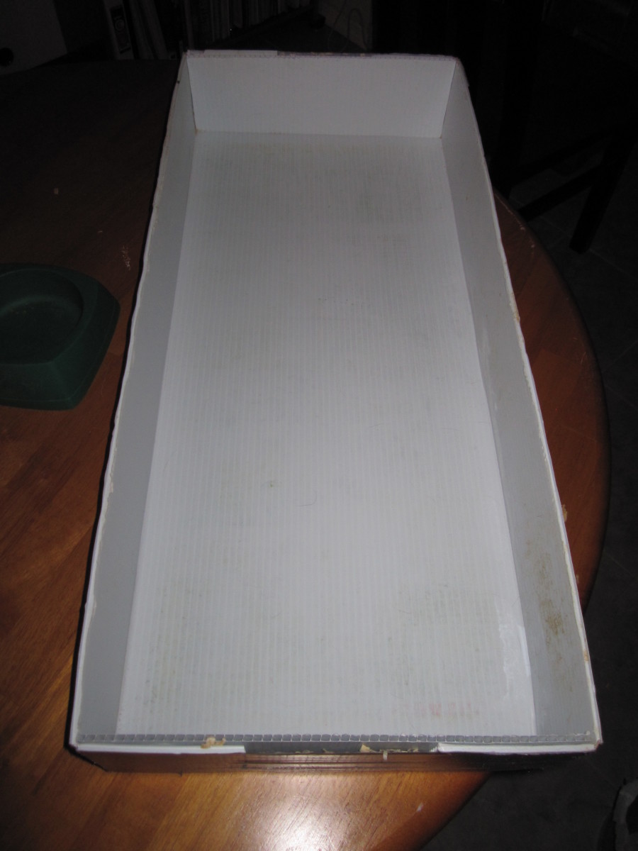 Cleaning a Guinea Pig's Cage the Fast and Easy Way PetHelpful