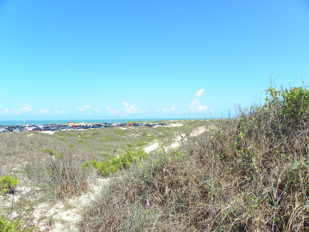 Rv Park South Padre Island Tx Isla Blanca Rv Park Cameron County