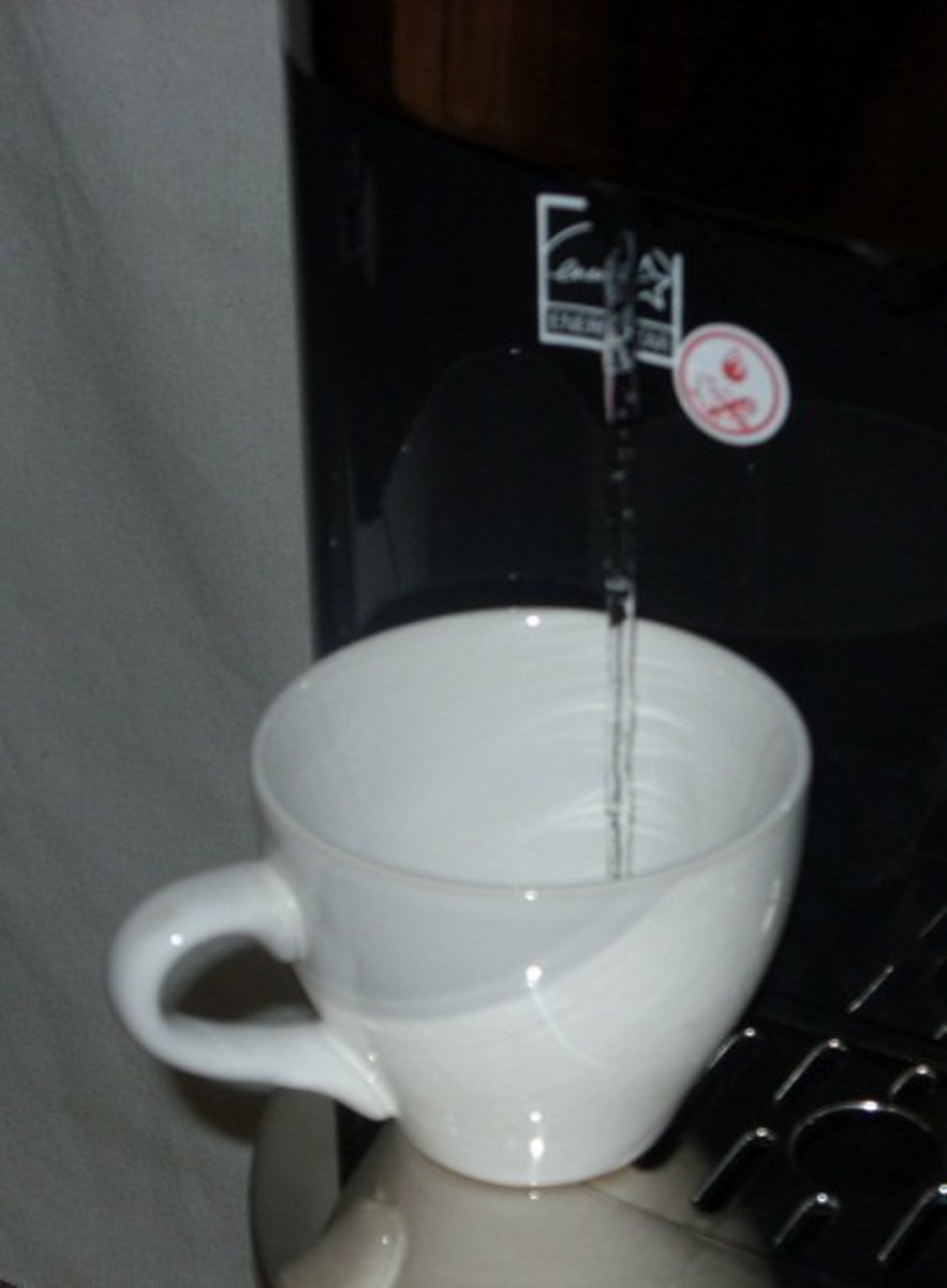 My Review of the Primo Water Dispenser Dengarden