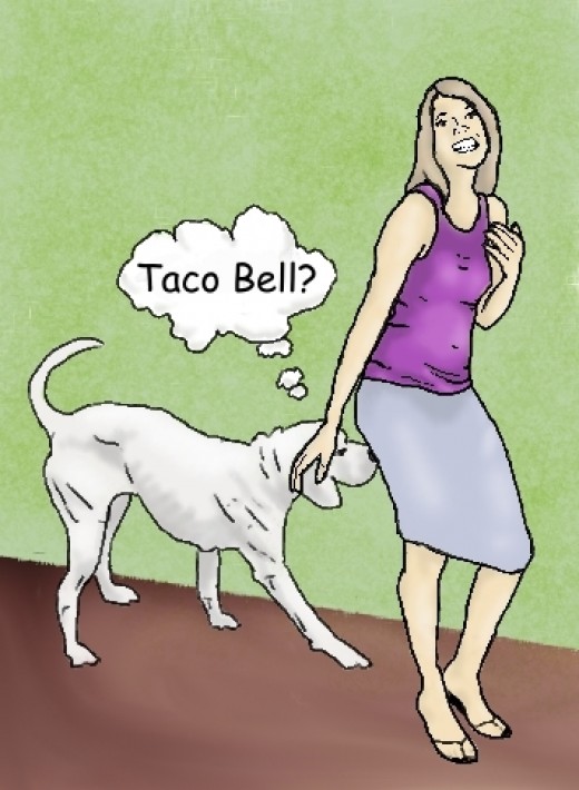 For the Fear of Farting hubpages