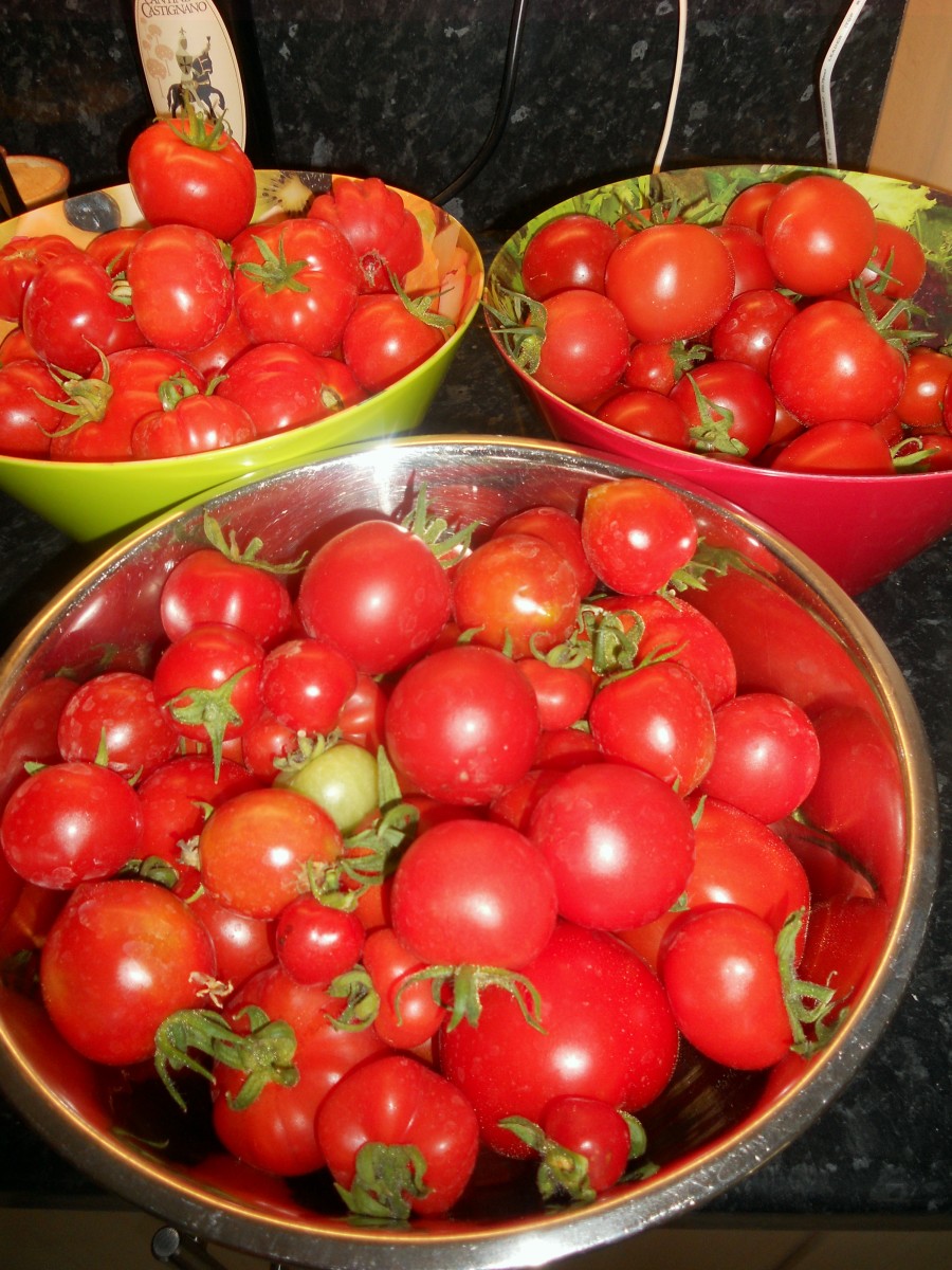 5 of the Best TomatoPreservation Techniques and Recipes Delishably