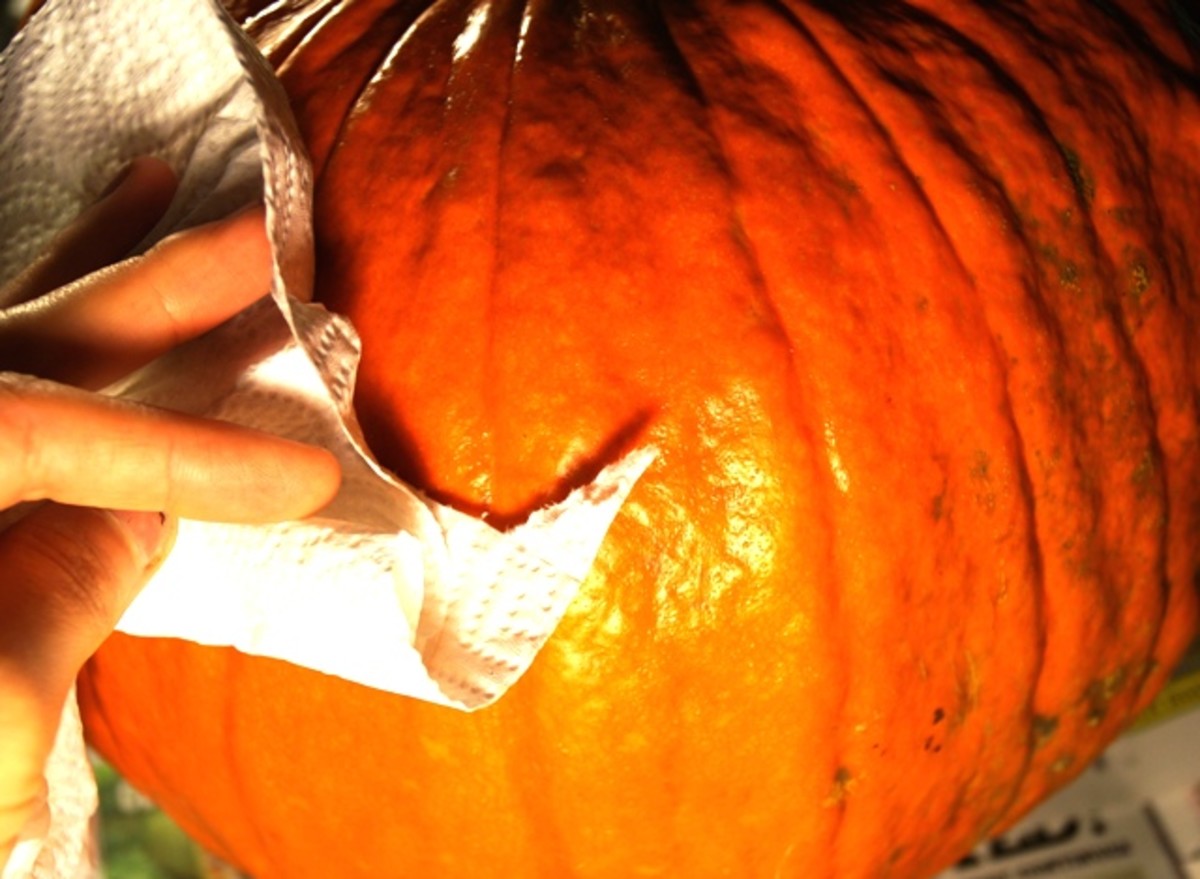 Halloween Carving Pumpkins and Roasting Seeds HubPages