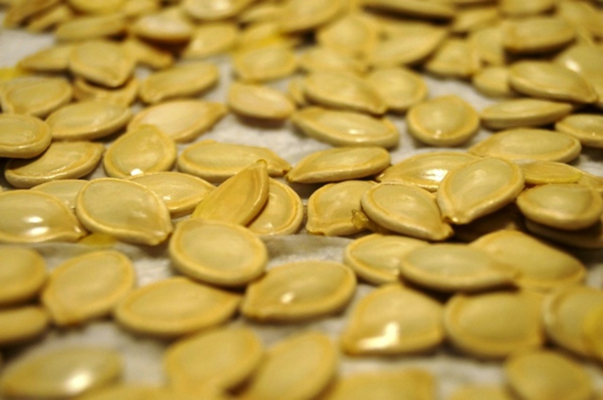 Halloween Carving Pumpkins and Roasting Seeds HubPages