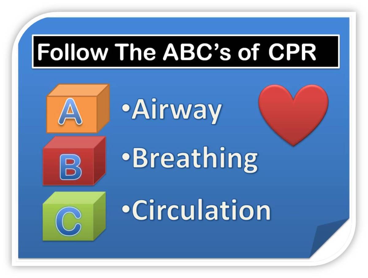 How to Perform CPR on Your Dog PetHelpful