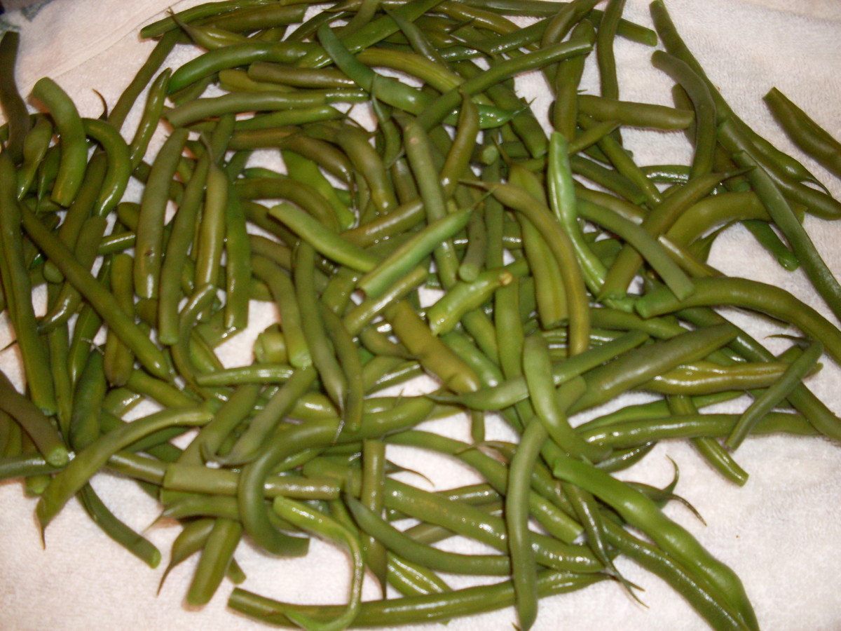 How Do You Freeze Fresh Green Beans? Delishably