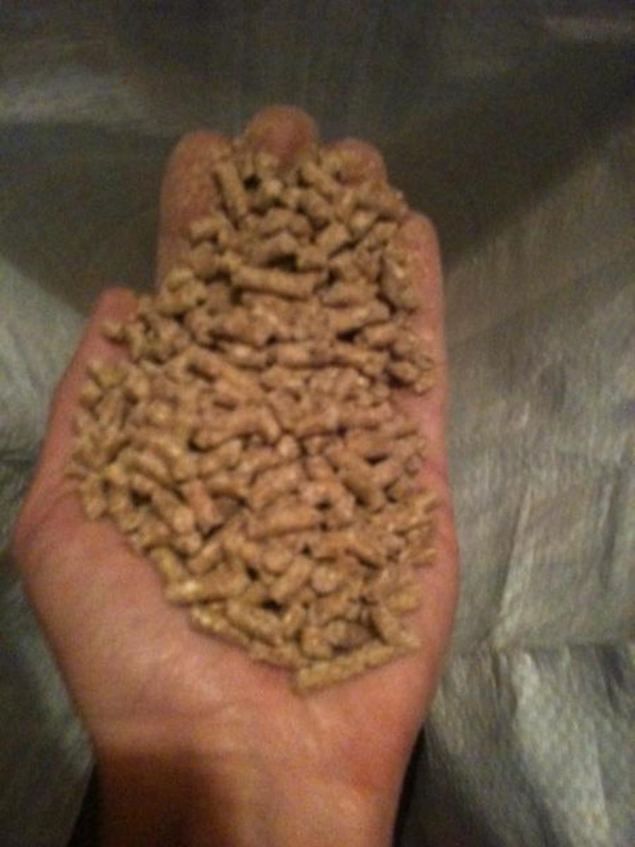 How to Raise Chickens for Meat The Cornish Cross Chicken HubPages