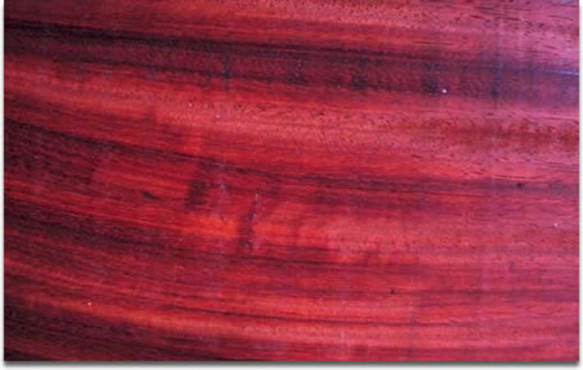 The Sacrifice of Brazilwood How It Helped to Build an Empire and Giving Birth to a New Country