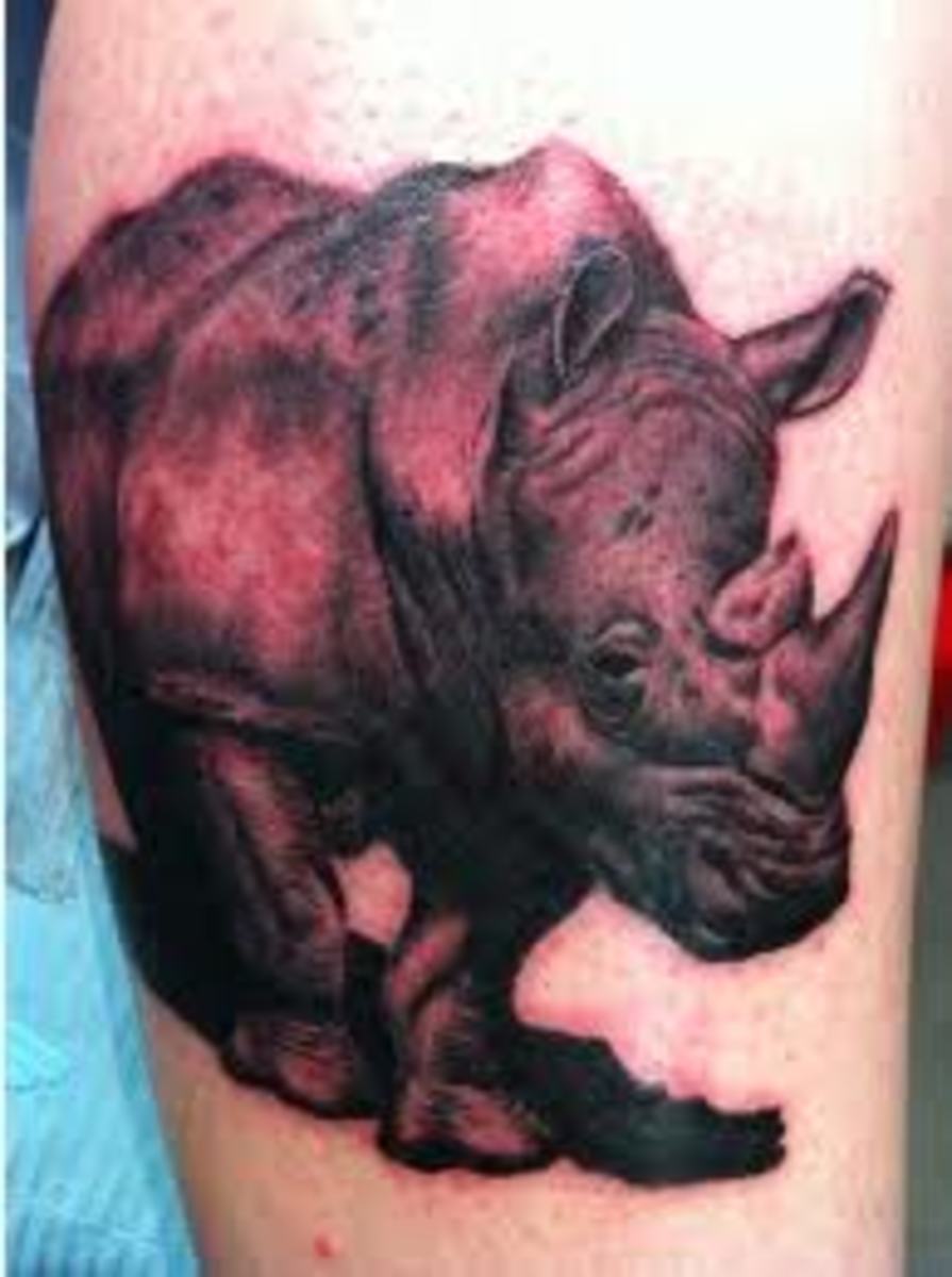 Rhino Tattoos And DesignsRhino Tattoo Meanings And IdeasRhino Tattoo