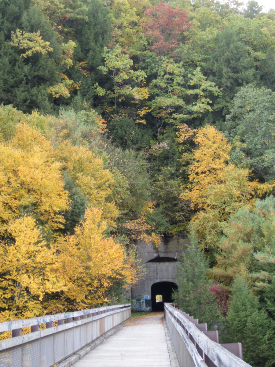 Pedaling Across the Allegheny River on the Sandy Creek Trail near